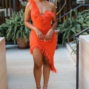 Fun peacock feather dress. Perfect for birthday or any special  occasion.